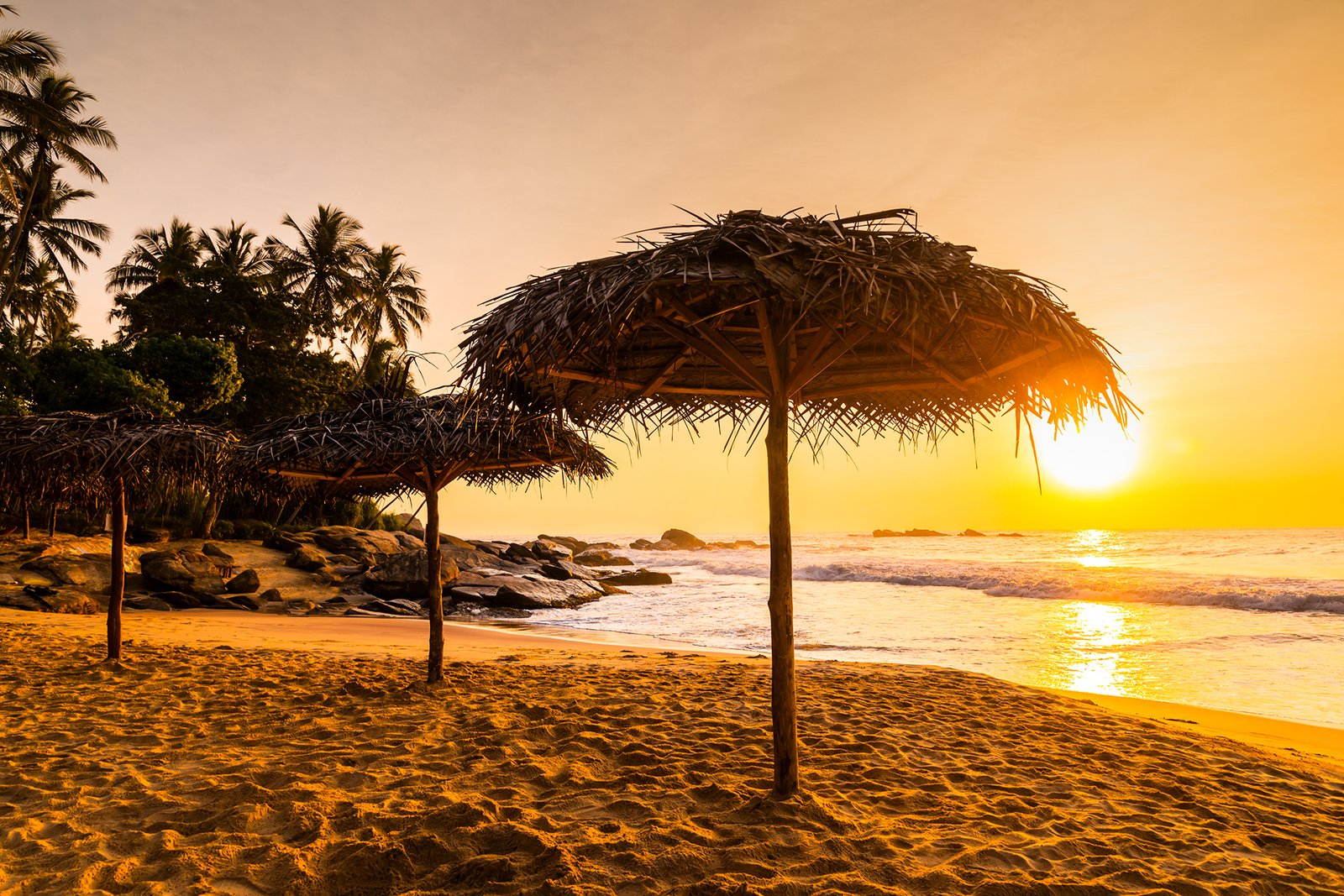Beach umbrellas at sunrise on a sandy beach. Tropical island