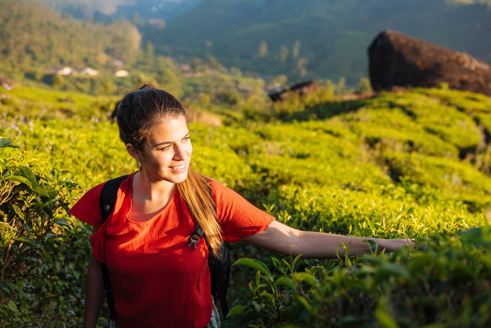 Young woman touching tea plants in tea plantations near Munnar, Kerala, India
