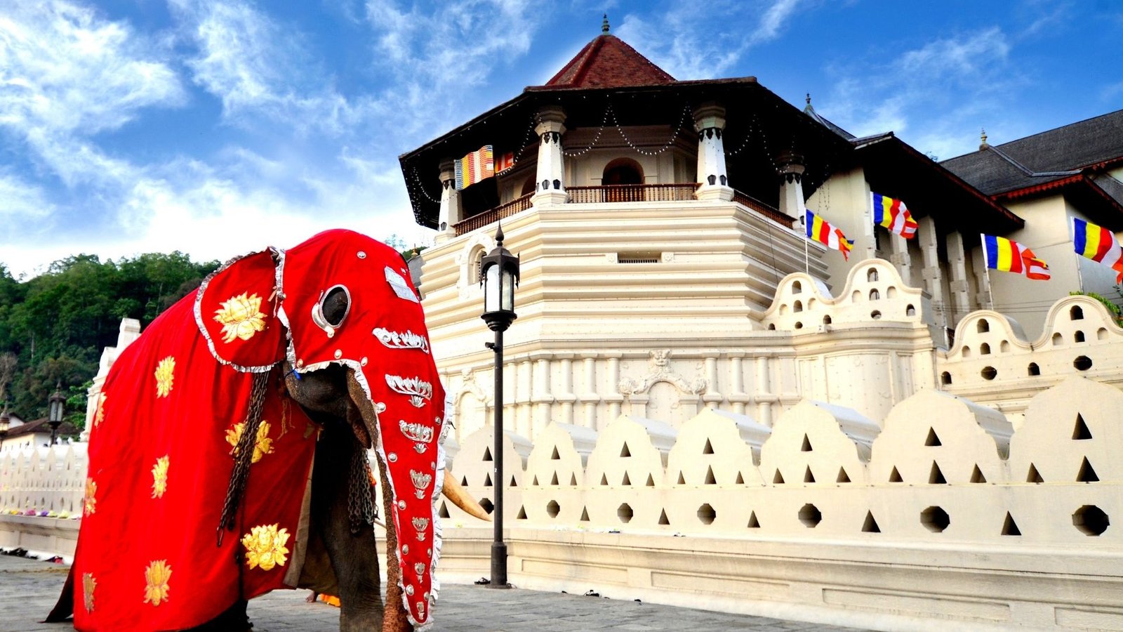 kandy-temple-of-the-tooth-perahera-elephant