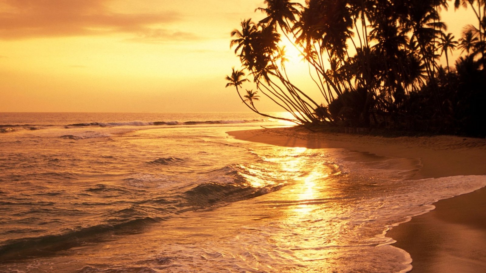 sri-lanka-tropical-beach-sunset-palm-trees